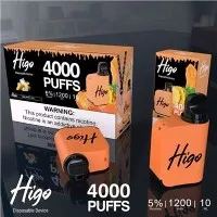 Higo Magic 4000 Vape Pen