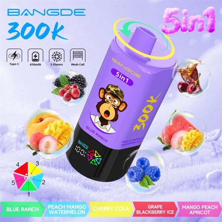 BANG DE 300K 2