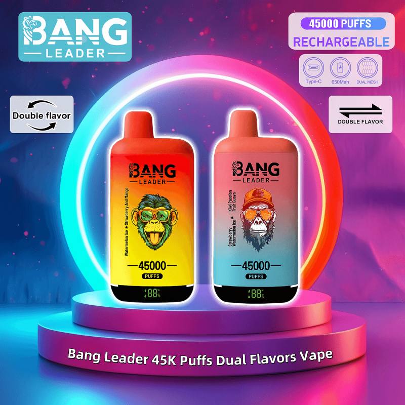 FD-Vape-Bang-Leader-45000-45k-Puffs-Dual-Flavors-Disposable-Vape-0-2-3-5-Nicotine-12Tastes-Factory-Directbang leader 45000