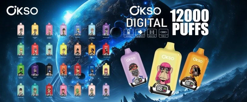 OKSO Digital box 12K 65