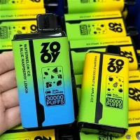 Zooy Twins 30000 puffs
