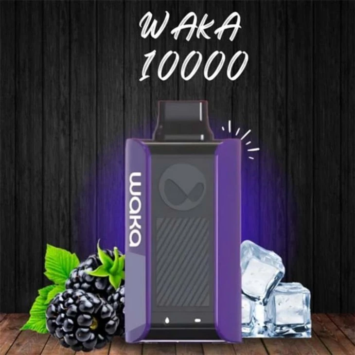 WAKA PA 10000