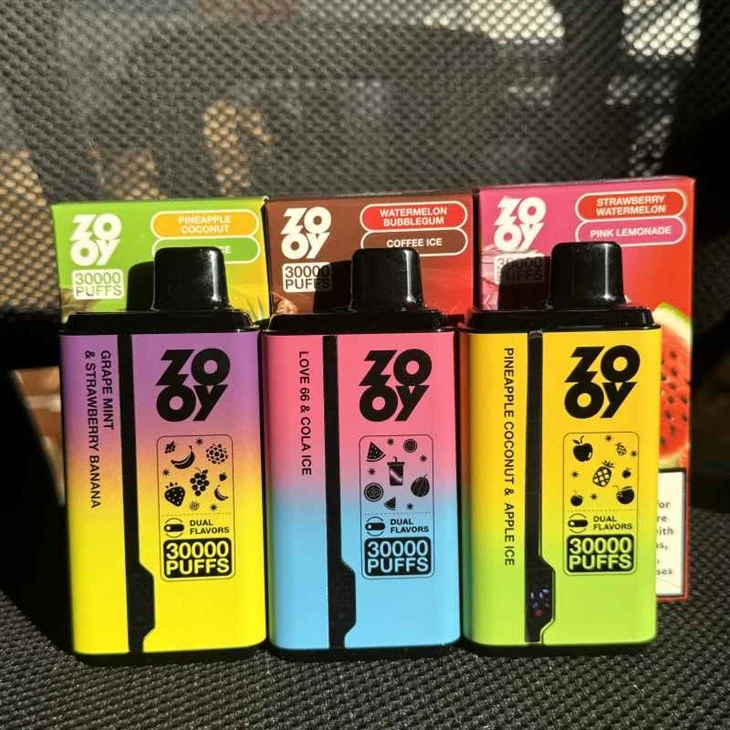 Zooy Twins 30000 puffs vape